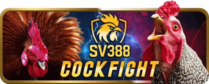 Quản lý tài khoản cá nhân VIP sodo6789 login